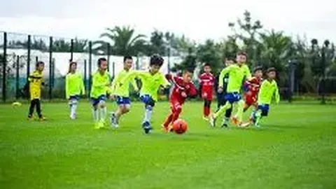 张本智和加盟丰田，荣登世界500强企业员工行列